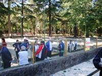 Clicca sulla foto per vedere ingrandimento